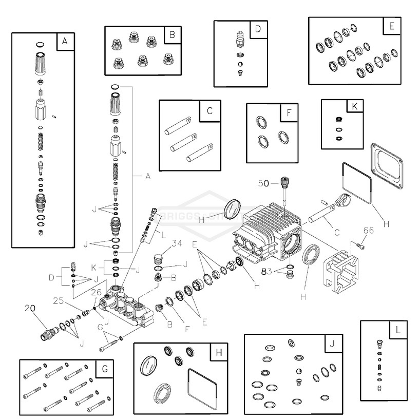 Elite series briggs model 020506 pump breakdown & parts